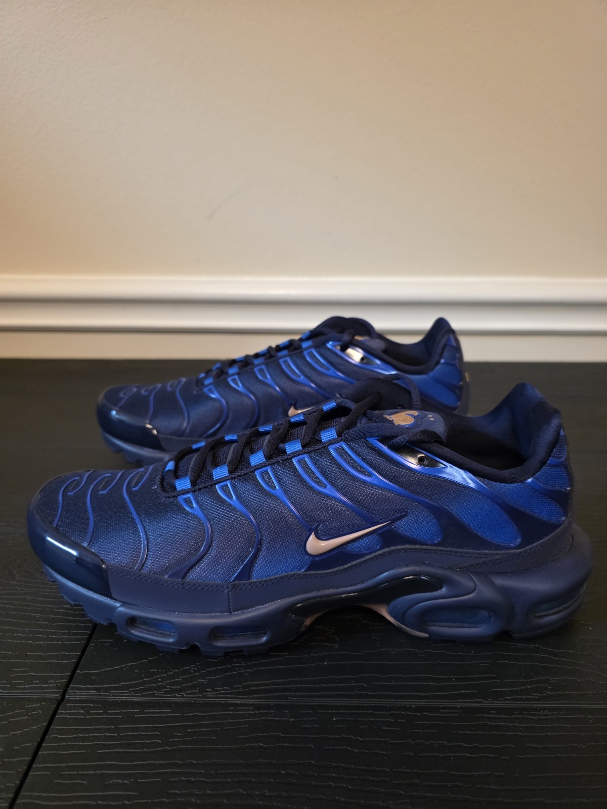 Nike Air Max Plus OG Darkened Blue Metallic Copper Blue Void Obsidian IQ0170-400 - Image 5