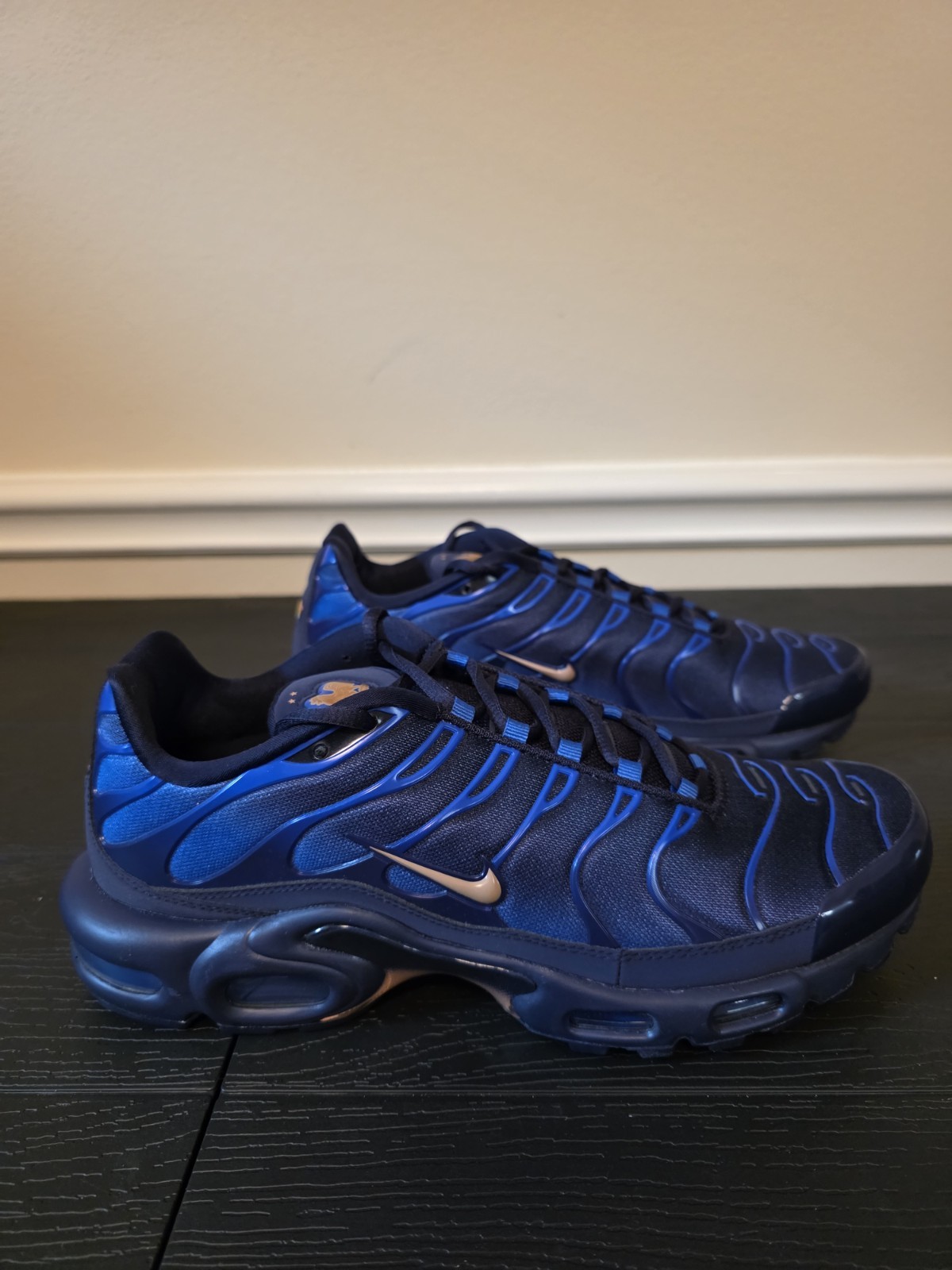 Nike Air Max Plus OG Darkened Blue Metallic Copper Blue Void Obsidian IQ0170-400 - Image 6