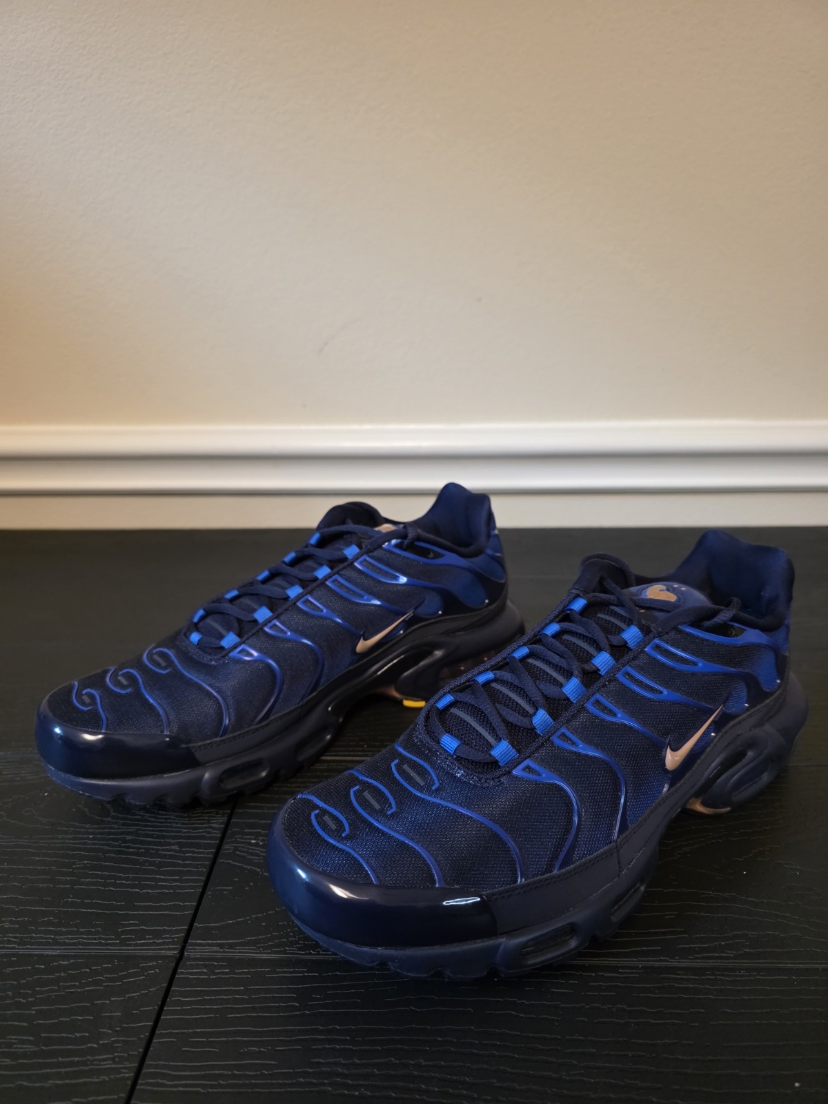 Nike Air Max Plus OG Darkened Blue Metallic Copper Blue Void Obsidian IQ0170-400 - Image 4
